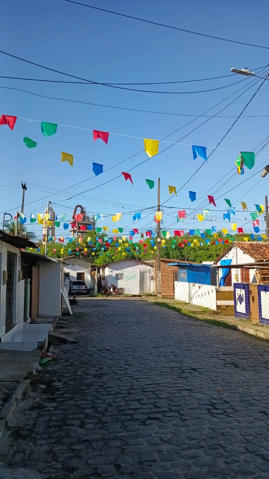 Bandeirolas da Copa na Paraíba: Emlur Alerta sobre Altura para Não Bloquear Coleta de Lixo e Evitar Danos