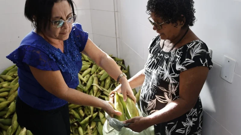 Cozinhas Comunitárias de João Pessoa Impulsionam Distribuição de Milho e Fortalecem Assistência a Famílias em Vulnerabilidade