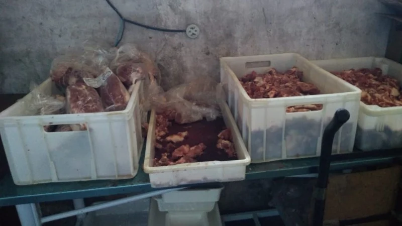 Mercadinho em Ingá é Investigado pelo MP por Suspeita de Abatedouro Irregular de Frangos em Área Urbana