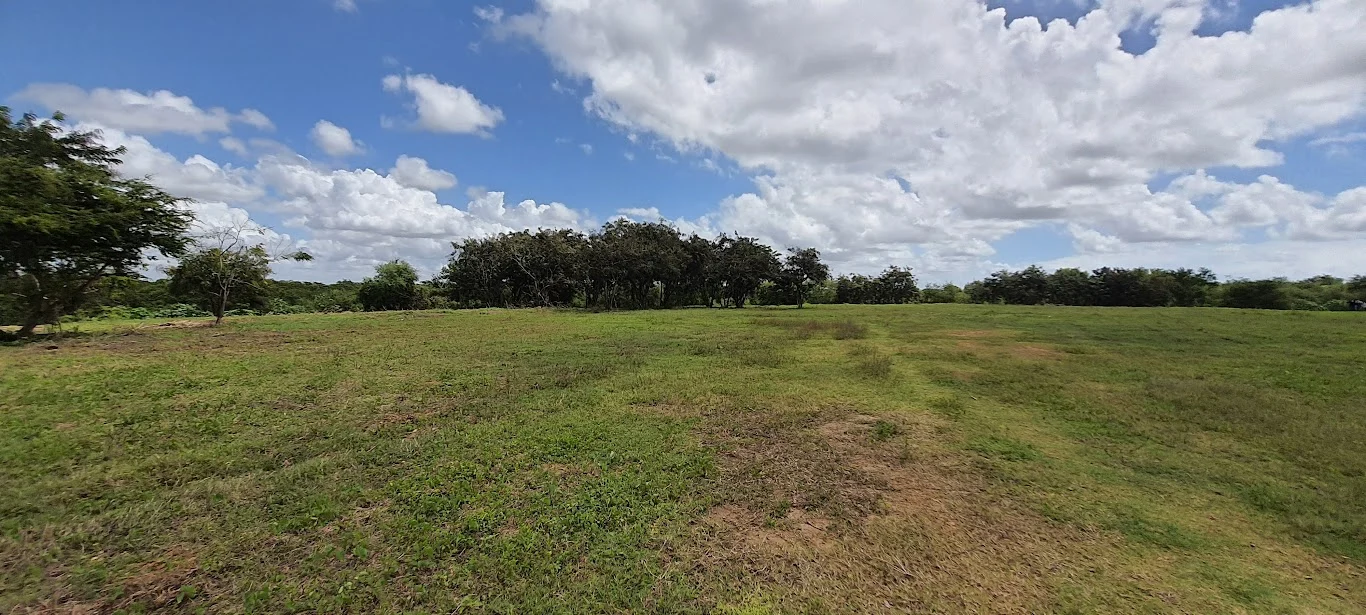 Parque Ambiental do Roger: Prefeitura de João Pessoa paralisa obra e avalia rompimento de contrato com consórcio