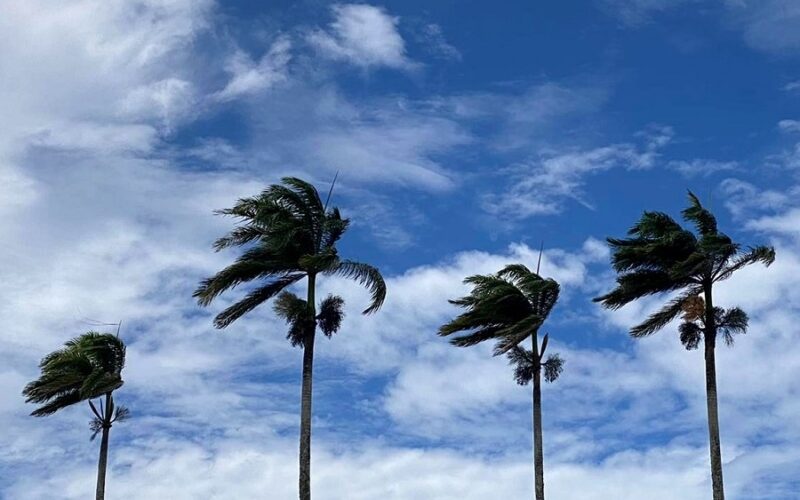 Alerta de vendaval iminente na Paraíba: inmet declara perigo potencial para todos os 223 municípios com ventos de até 60 km/h e recomendações urgentes de segurança para a população