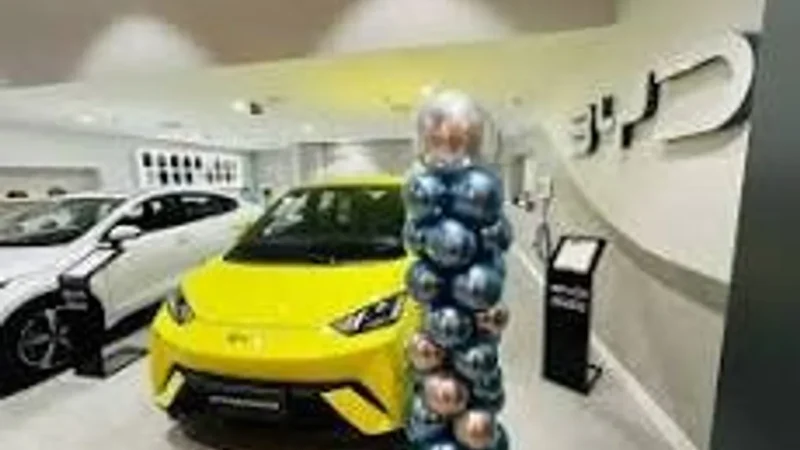 Chineses invadem Parnamirim com seus automóveis elétricos