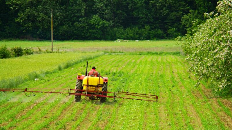 Crédito rural cresce 18,3% na Paraíba e ultrapassa R$ 1,65 bilhão, aponta BC