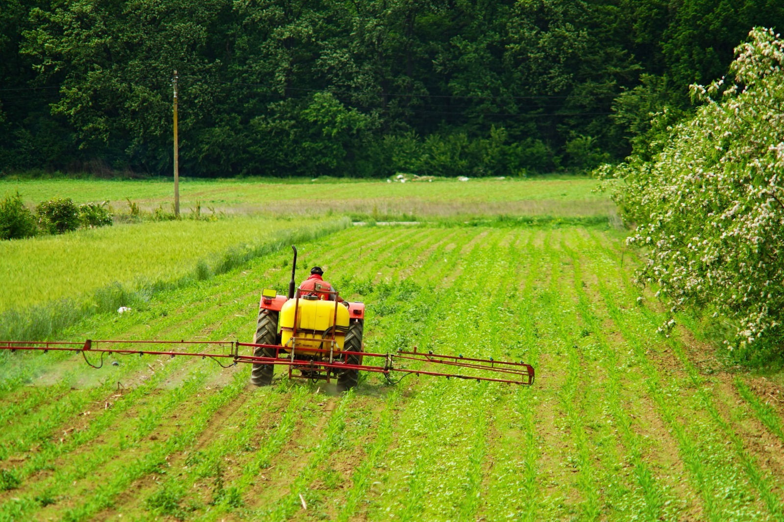 Crédito rural cresce 18,3% na Paraíba e ultrapassa R$ 1,65 bilhão, aponta BC