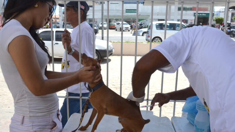 Dia D de Vacinação Antirrábica acontece neste sábado em JP; confira os locais