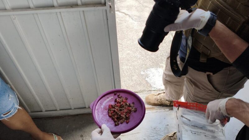 Motorista de aplicativo detido em Campina Grande sob grave acusação de envenenar gatos, chocando moradores e autoridades locais com a crueldade revelada