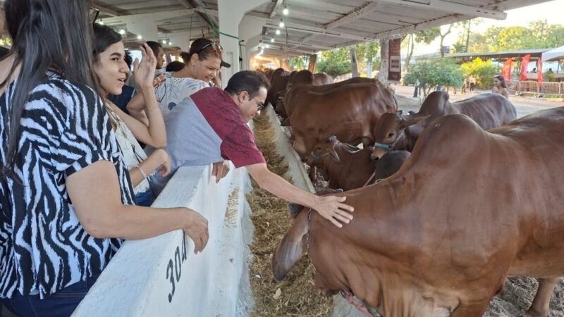Exposição Paraíba Agronegócio registra cerca de 20 mil visitantes no 1º dia