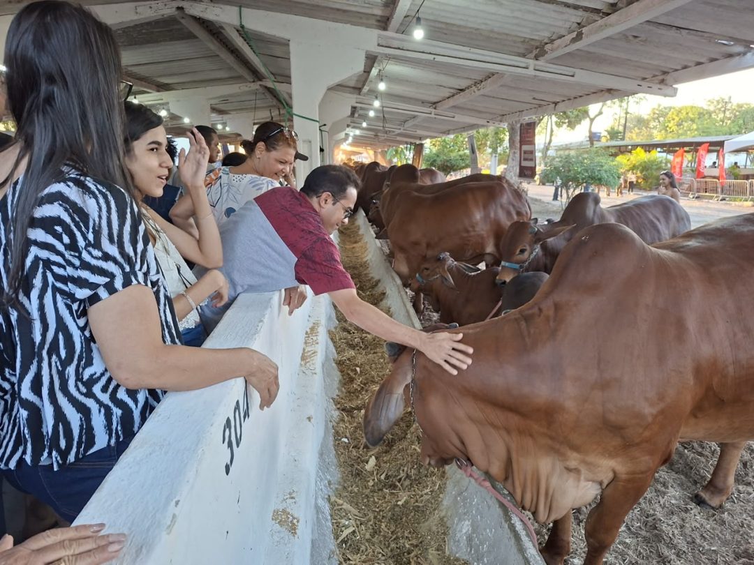 Exposição Paraíba Agronegócio registra cerca de 20 mil visitantes no 1º dia